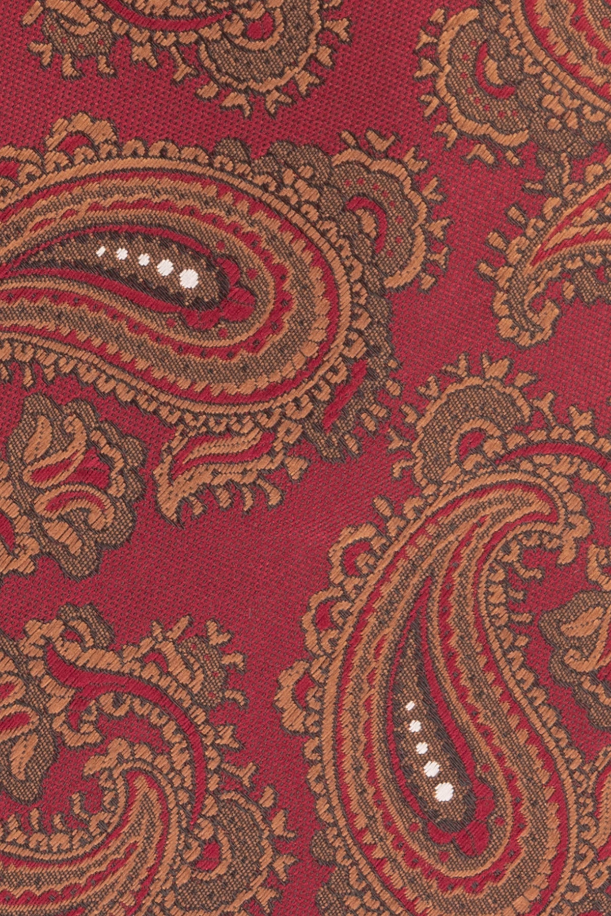 Red Copper Paisley ties for men. The vibrant red and copper hues, combined with intricate paisley patterns, make this tie perfect for any formal or semi-formal event.